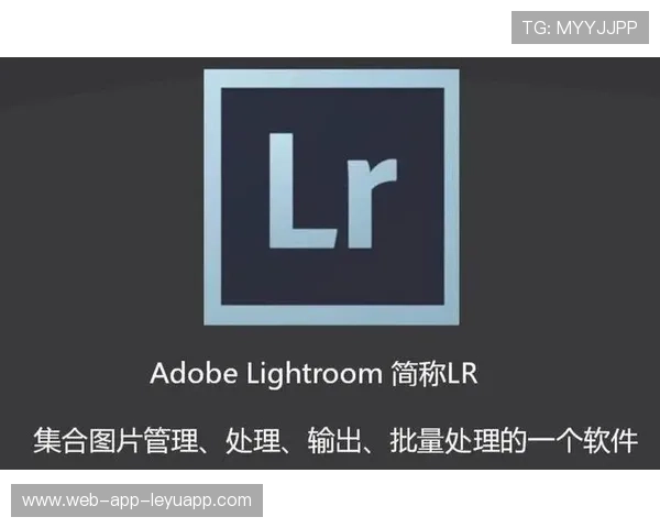 Light稳定输出零失误 Light稳定输出零失误