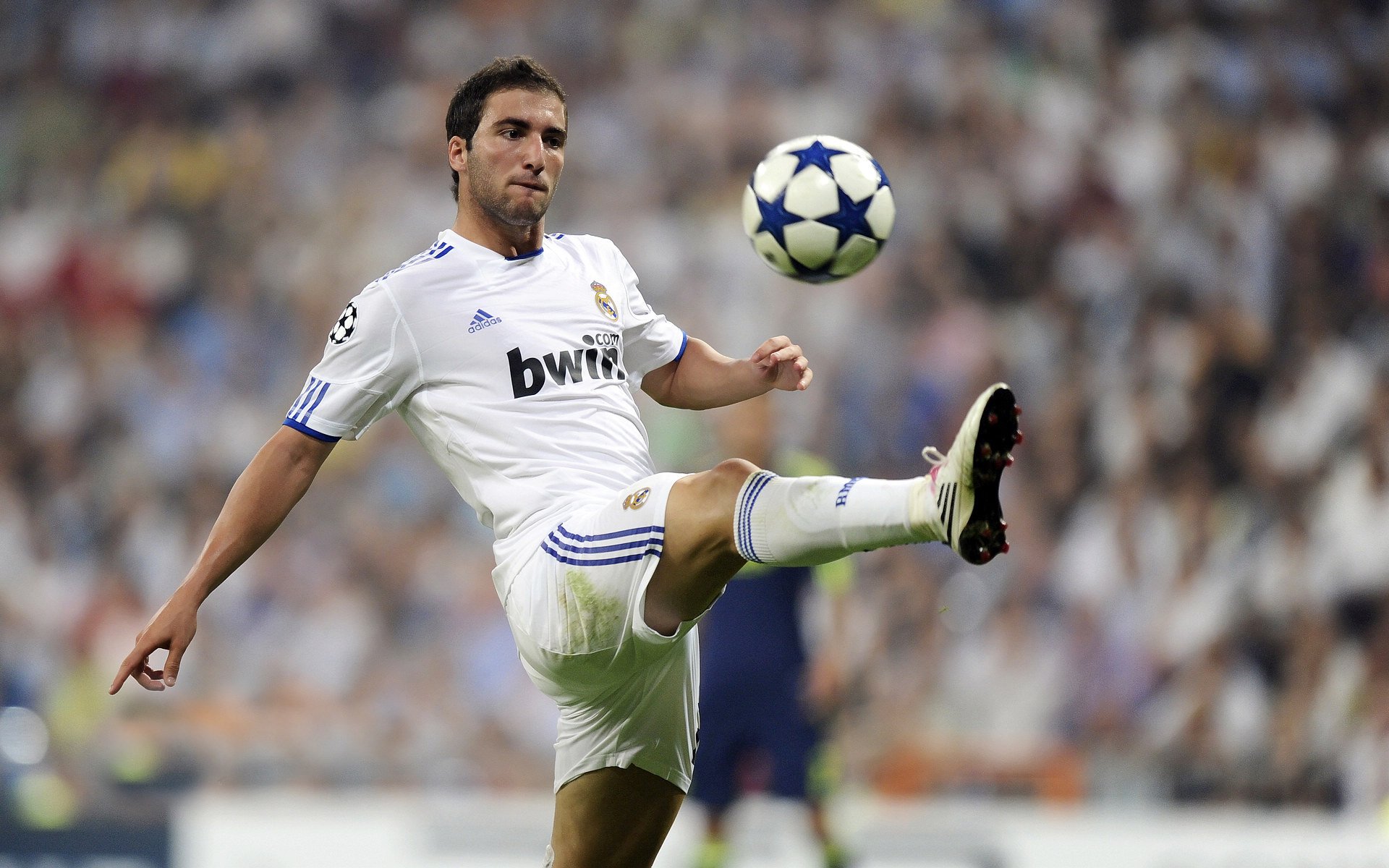 leyu sports-“尼古拉斯·桑特基的多面手技术，帮助阿根廷美洲狮队取得重要突破”